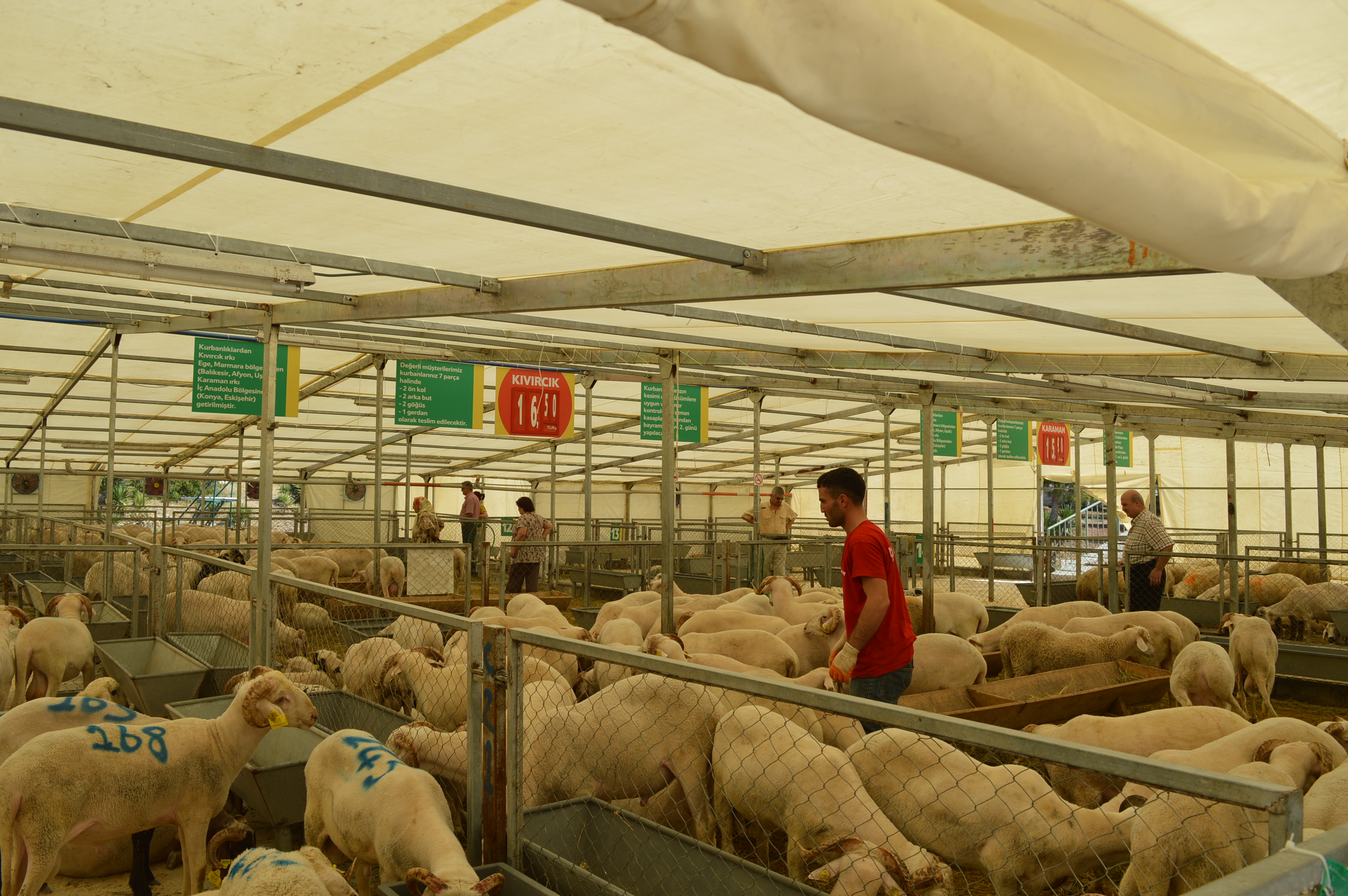 Kipa’dan her bütçeye uygun, güvenli kurban