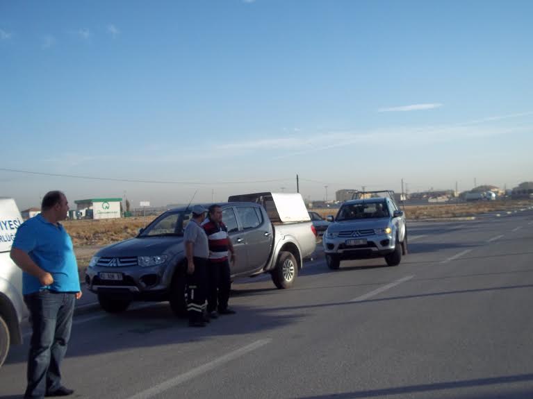 Karatay’da Sahipsiz Köpekler Toplanıyor