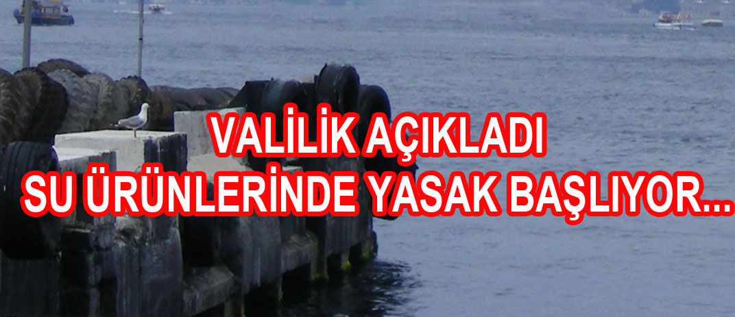 2016 Yılı Su Ürünleri Avlanma Yasakları Başlıyor