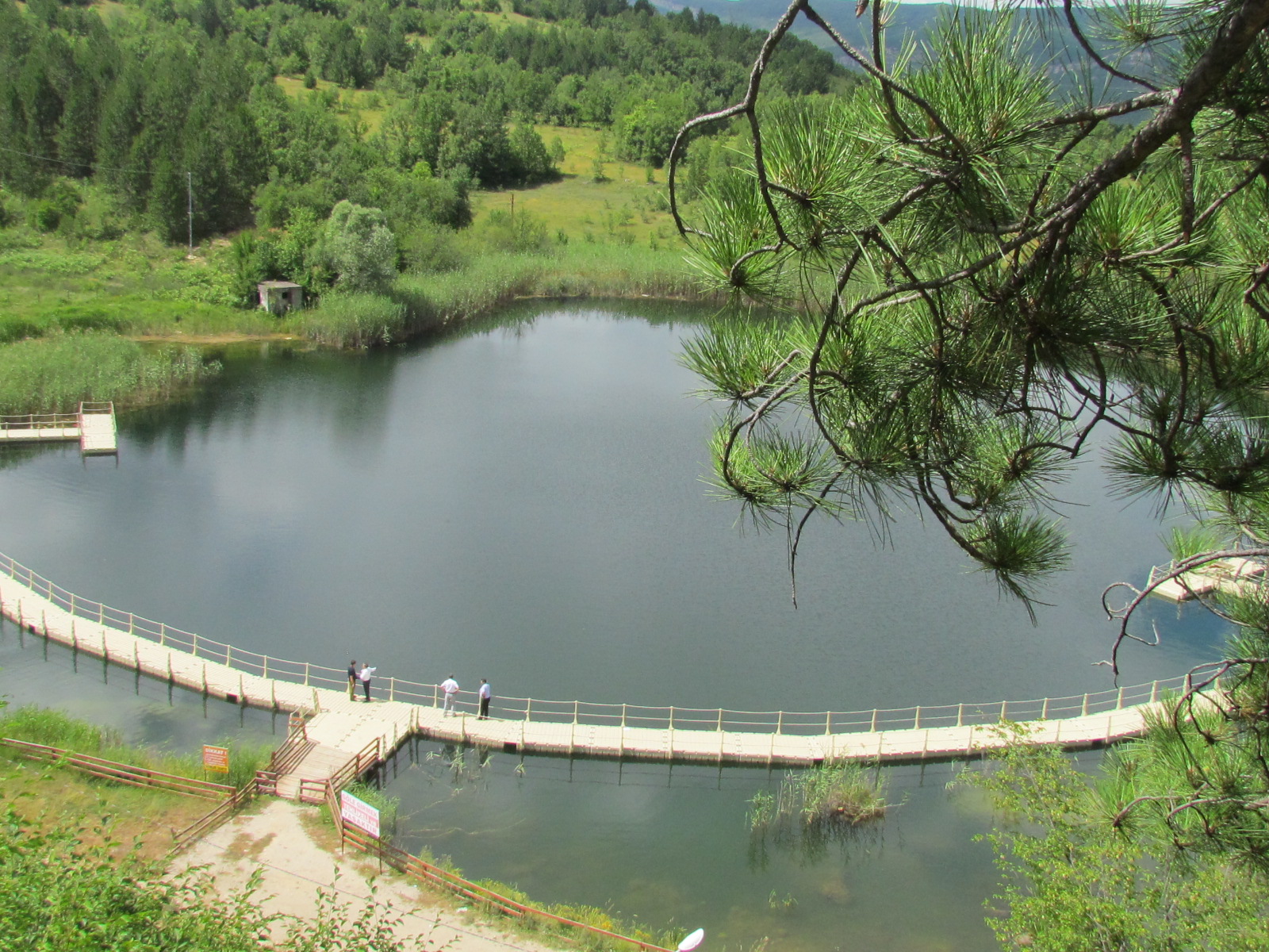 Göl ve göletlerimiz 5 milyon yavru balıkla buluşuyor