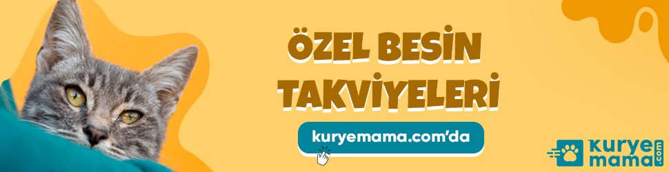 Kurye Mama Aynı Gün Royal Canin Yavru Kedi Köpek Mamaları Teslim Ediyor