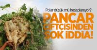 Pancar'da "polar" tepkisi!