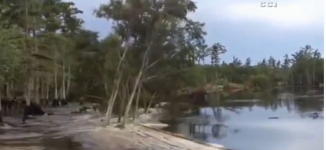 Ağaçlar 5 Saniyede Kayboldu! SubhanAllah!